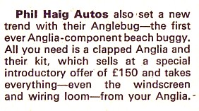 Anglebug Article